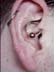ear piercing (daith)