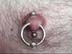double pierced nipple